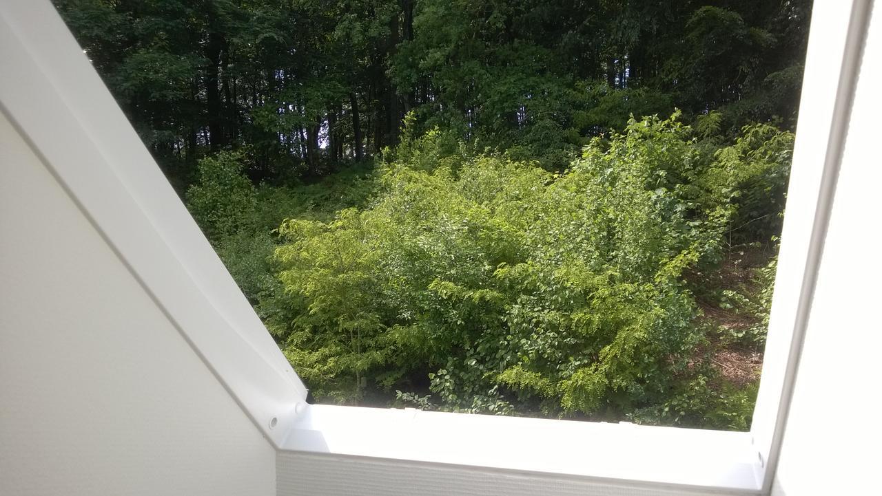 Moselundgaard B/B Og Hestehotel Engesvang Екстериор снимка